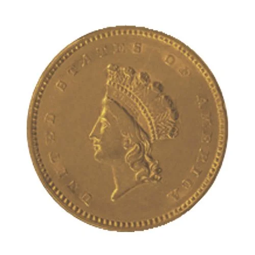 $1 Gold Indian Princess