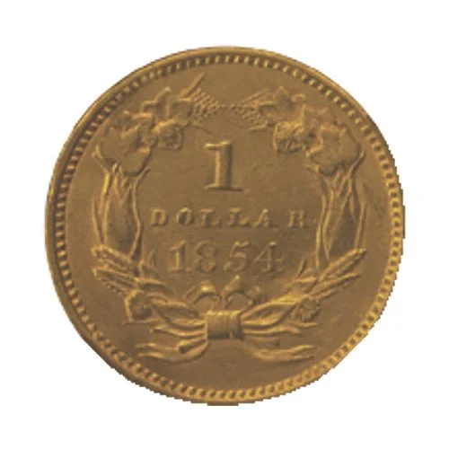 $1 Gold Indian Princess