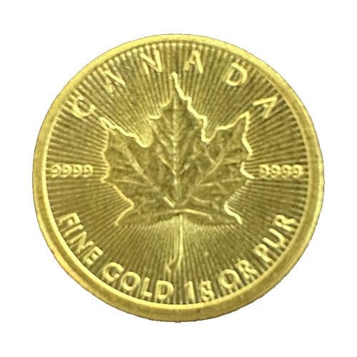 1g Canadian Maple