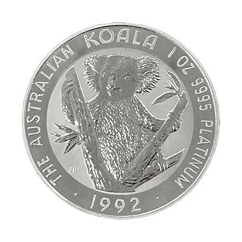 Australian Koala